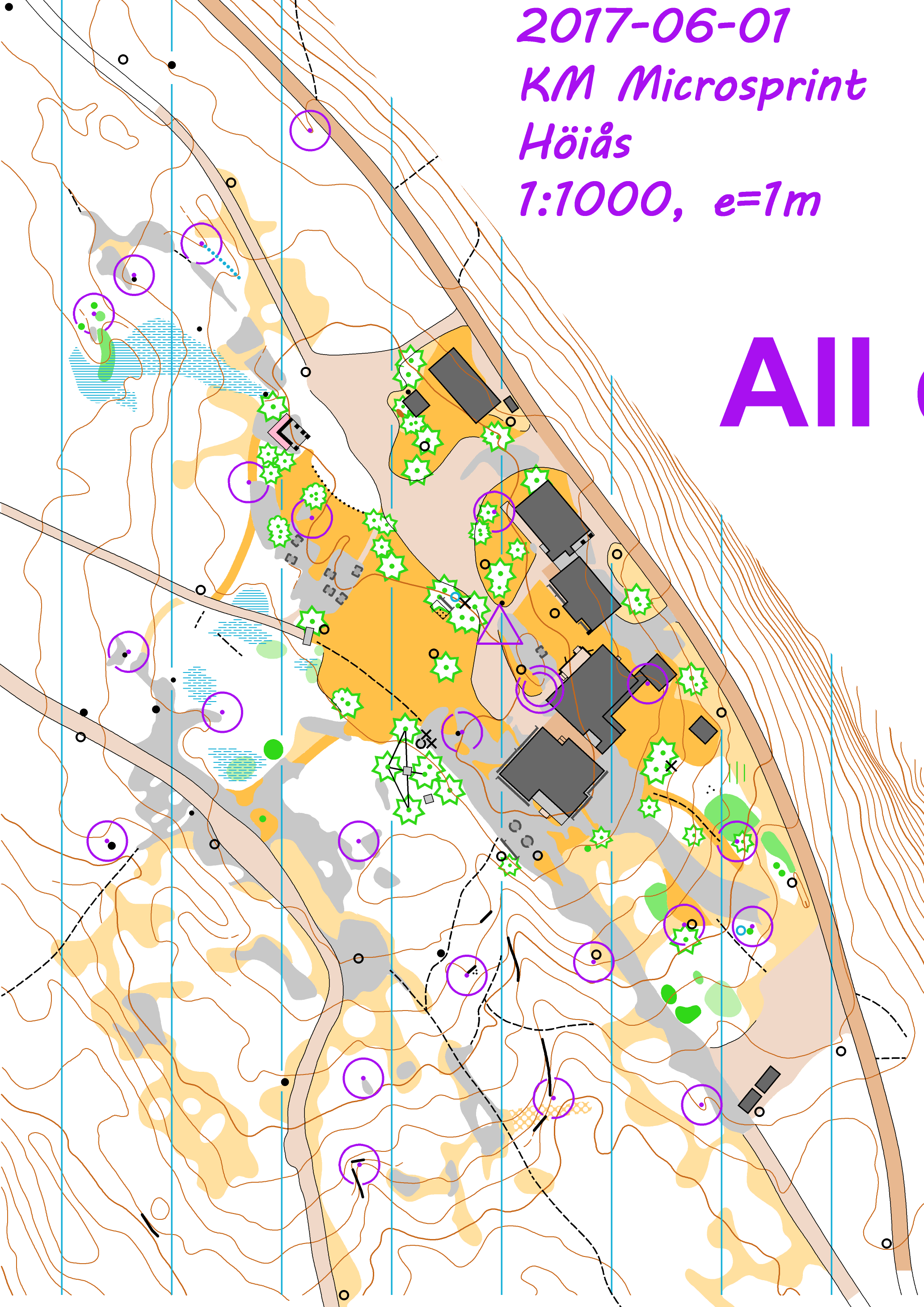 2017 06 01 Höiås KM microsprint.All