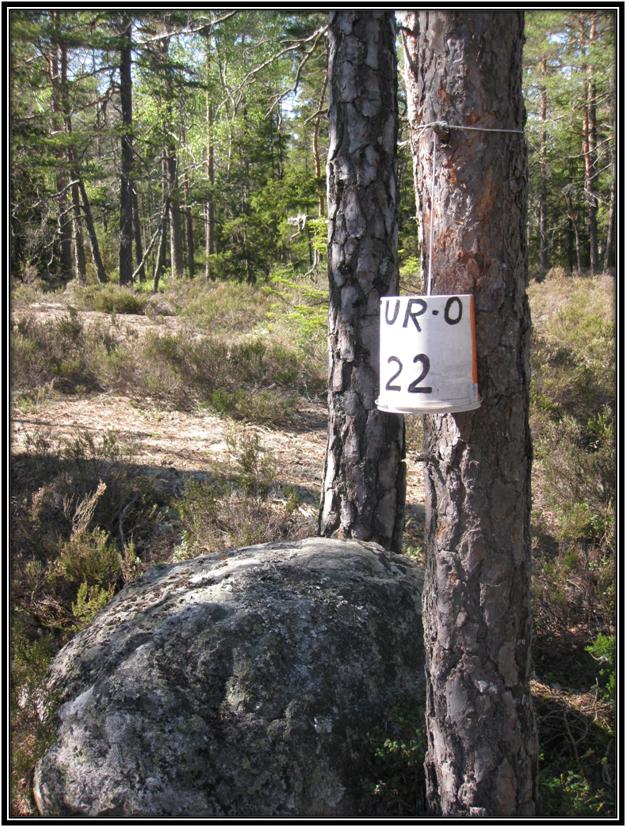 Tur-orientering, tur nr 2 Tur-orientering, tur nr 2